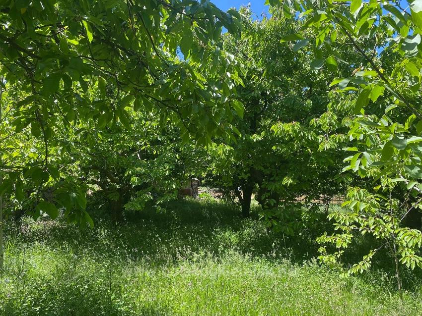 Fethiye Nif Mahallesi Satılık 462M2 Müstakil Tapulu İmarlı Arsa