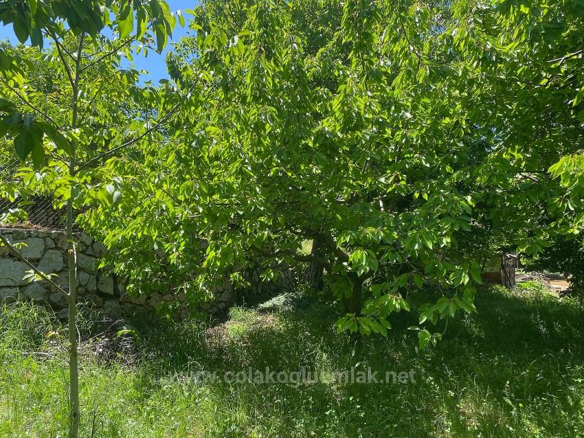 Fethiye Nif Mahallesi Satılık 462M2 Müstakil Tapulu İmarlı Arsa