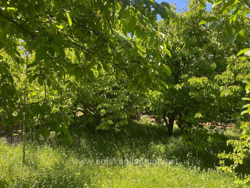 Fethiye Nif Mahallesi Satılık 462M2 Müstakil Tapulu İmarlı Arsa