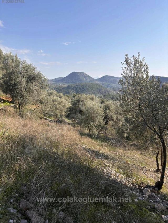 Dalaman Kayadibi Mahallesi Acil Satılık 395M2 Tarla