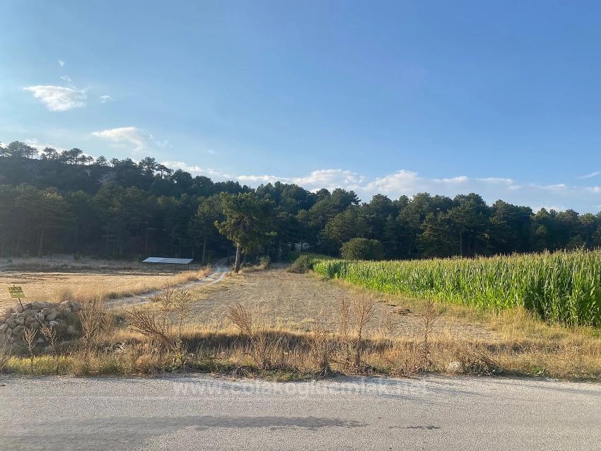 Çameli Merkezde Acil Satılık Kelepir 1.356M2 Müstakil Tapulu Tarla