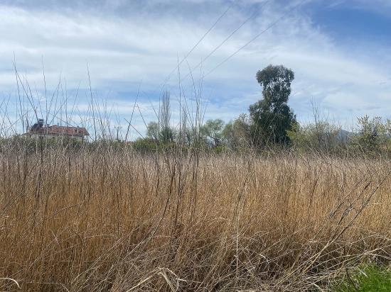 Ortaca Merkezde Satılık 2.315M2 Müstakil İmarlı Villalık Arsa