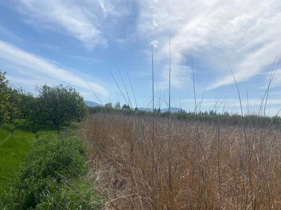 Ortaca Merkezde Satılık 2.315M2 Müstakil İmarlı Villalık Arsa