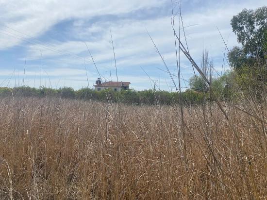 Ortaca Merkezde Satılık 2.315M2 Müstakil İmarlı Villalık Arsa