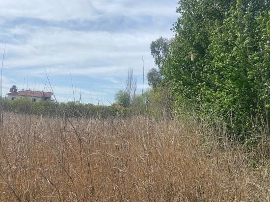 Ortaca Merkezde Satılık 2.315M2 Müstakil İmarlı Villalık Arsa