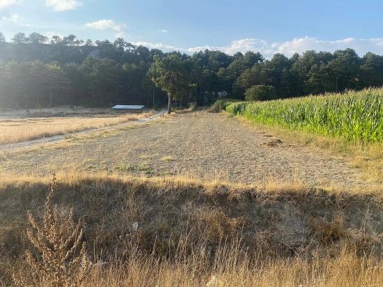 Çameli Merkezde Acil Satılık Kelepir 1.356M2 Müstakil Tapulu Tarla