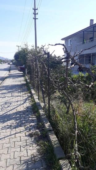 Ortaca Ekşiliyurt'da Satılık Bahçeli Müstakil İki Katlı Ev