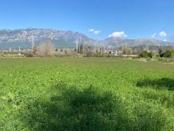 Çolakoğlu Emlak’tan Satılık 500M2 Müstakil Tapulu Arsa