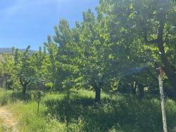 Fethiye Nif Mahallesi Satılık 462M2 Müstakil Tapulu İmarlı Arsa